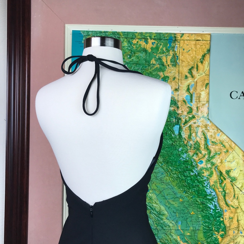 Cache Evening Gown - image 3